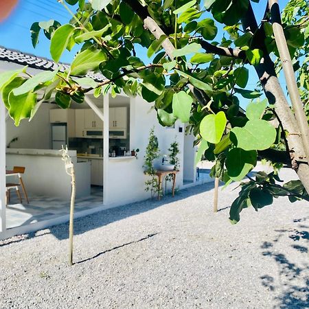 Airport Blue Eye Apartment Dalaman Best Location Also Suitable For Day Rentals Ideal For Air Travelers, 5 Km Close To Airport Kültér fotó